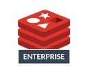 Redis Labs Enterprise logo