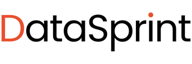 DataSprint logo